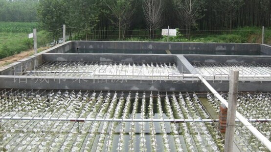 养殖废水COD处理